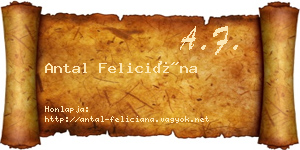 Antal Feliciána névjegykártya